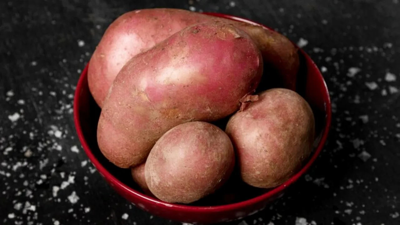 Sweat Potato Benefits in Gujarati, શક્કરિયા ખાવાના ફાયદા