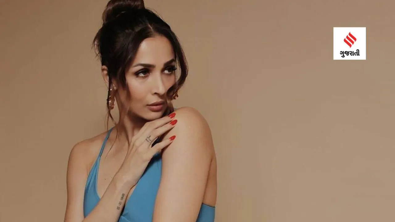 malaika arora (Source: malaikaaroraofficial/Instagram)