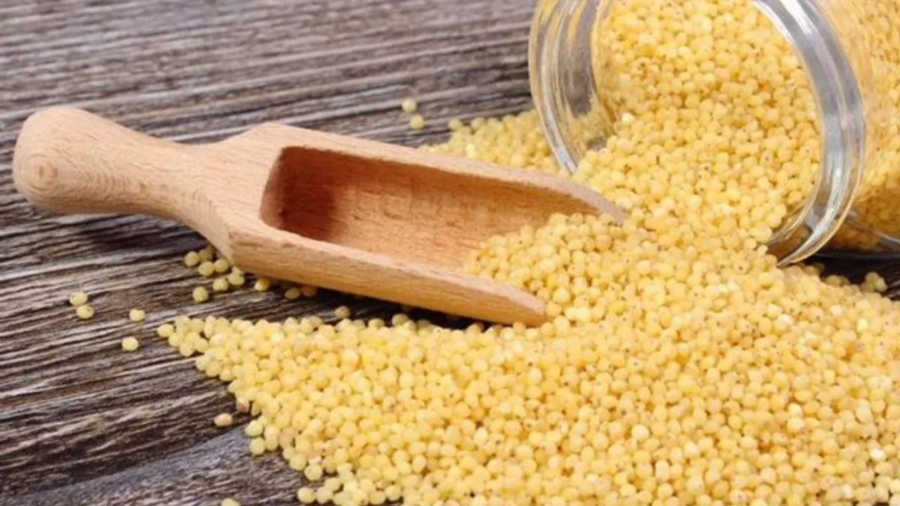 Kodo millet contains a large amount of lecithin and is excellent for strengthening the nervous system.