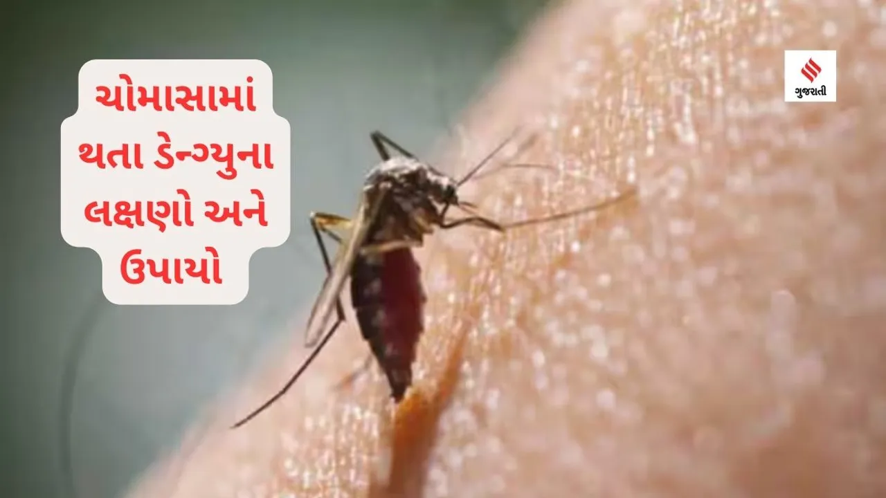 Symptoms and Remedies of Dengue in Monsoon