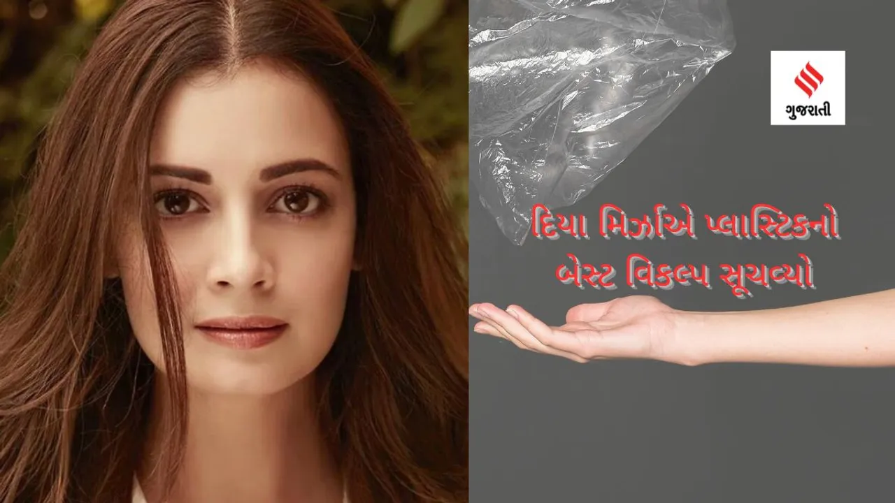 Dia Mirza suggested the best alternative to plastic ((Photo: Dia Mirza/Instagram)