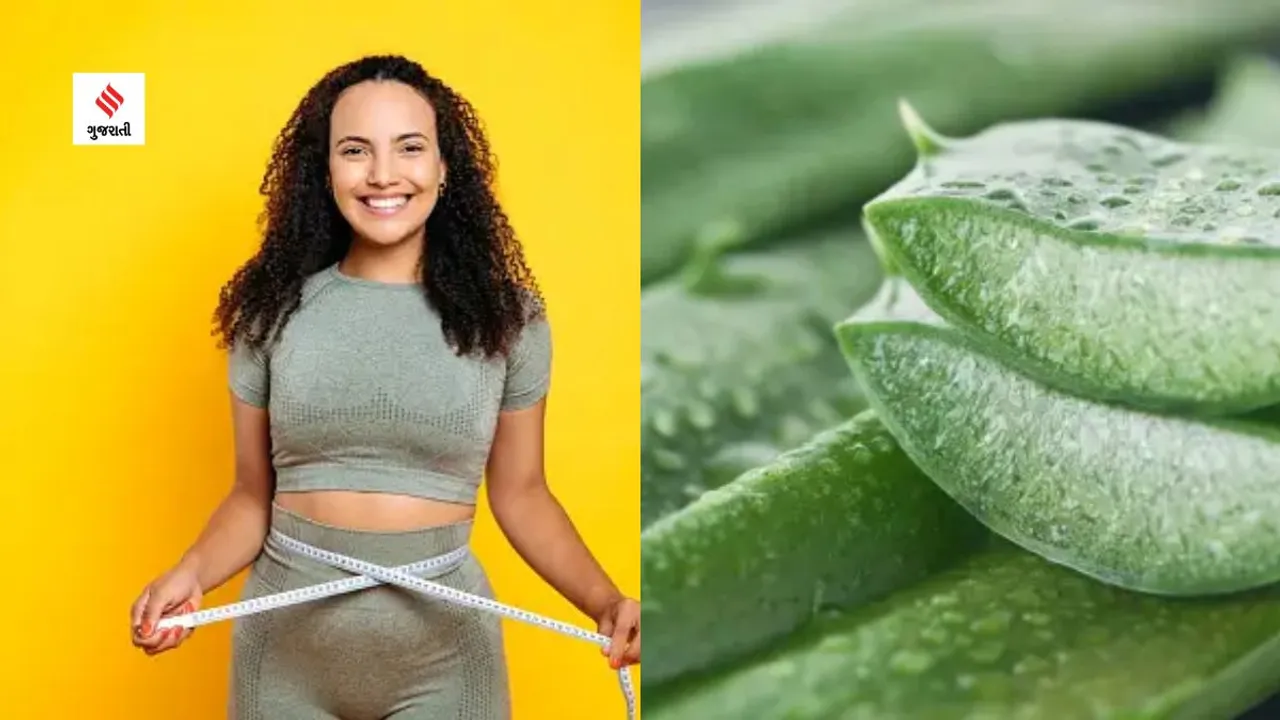 aloe vera helps to reduce belly fat, know the fact(unsplash)