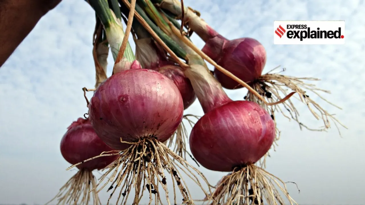 Onion | Onion Price | Onion Price hike | Onion Price Increase | inflation