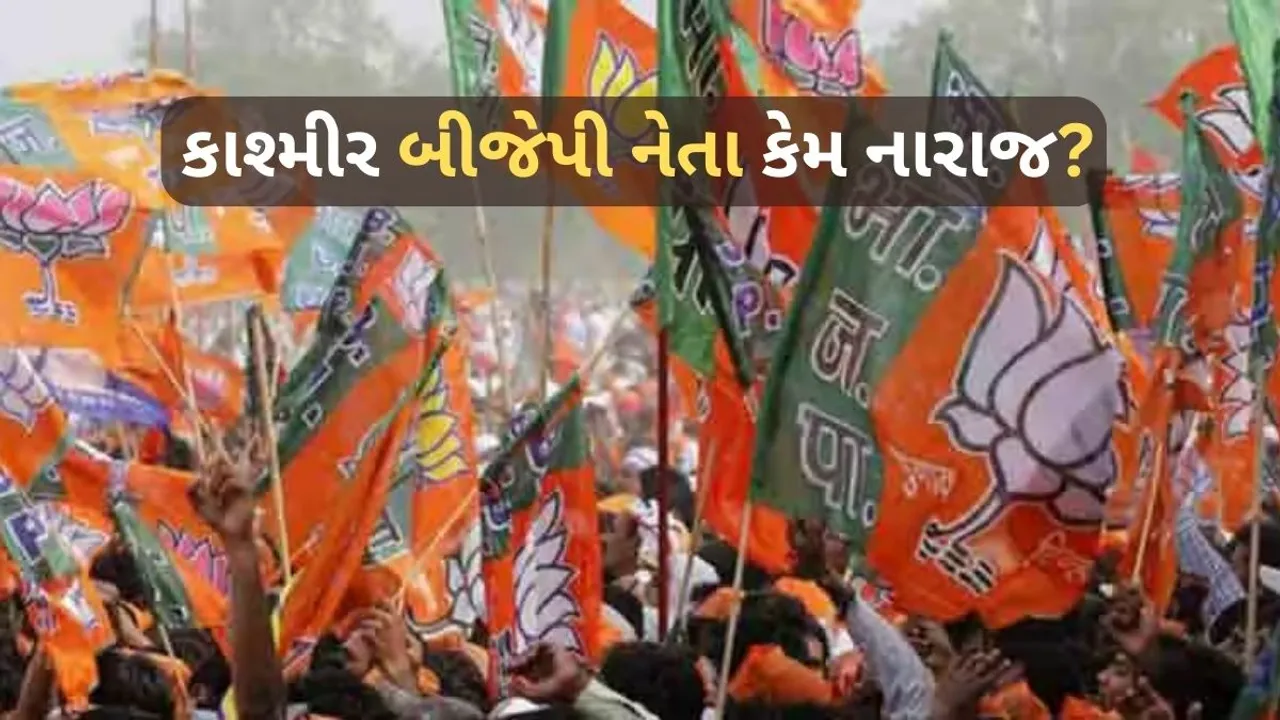 jammu and kashmir | Politics | election | BJP | Kashmir Leader