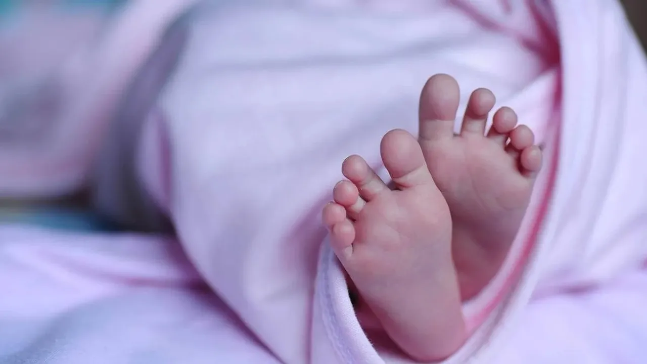 new bornbaby | world crime news
