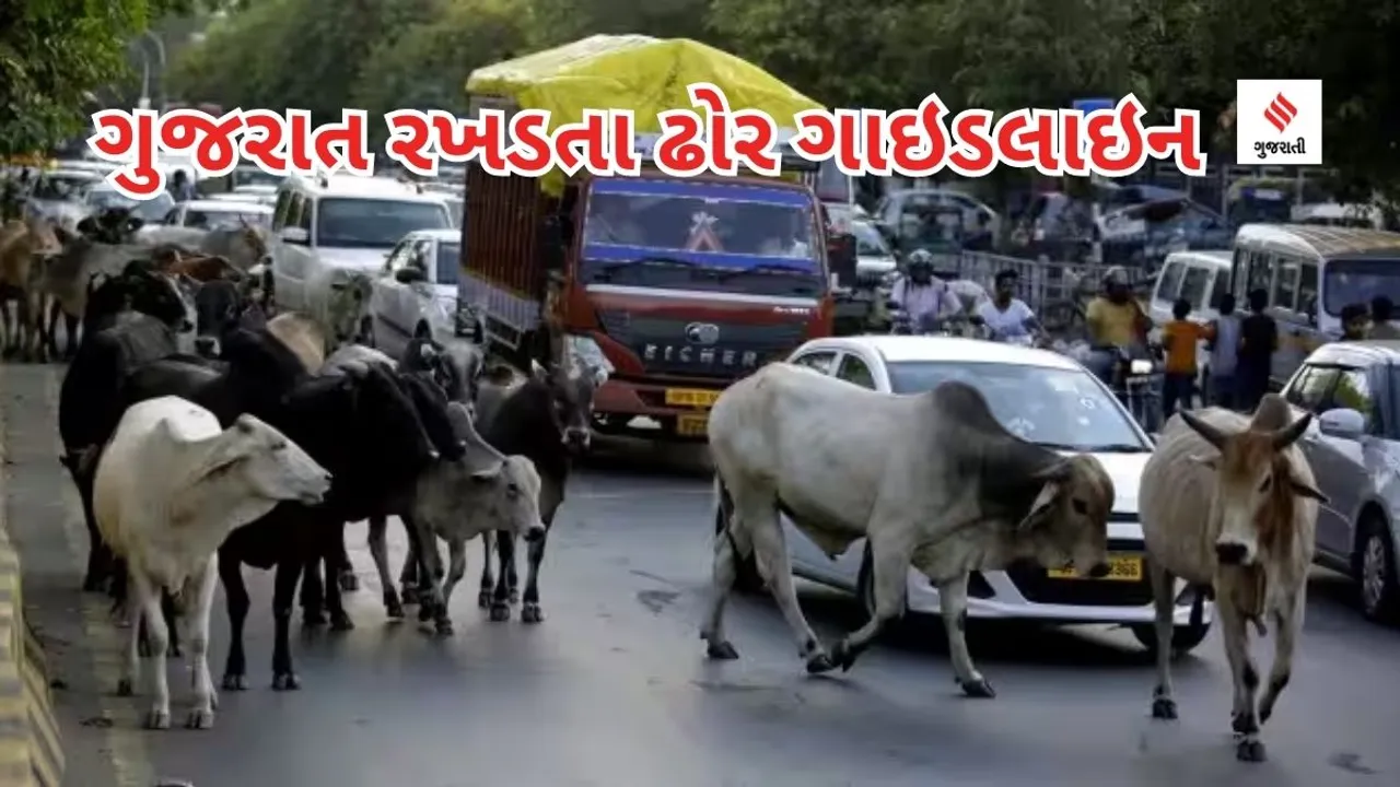 Gujarat Stray Cattle Rules : ગુજરાતમાં રખડતા ઢોર પકડાશે તો કેટલો દંડ થશે? ગાય-ભેંસ, ઘોડ-ગઘેડા, બકરી - હાથી માટે અલગ-અલગ દંડ નક્કી કરાયો, જાણો વિગતવાર