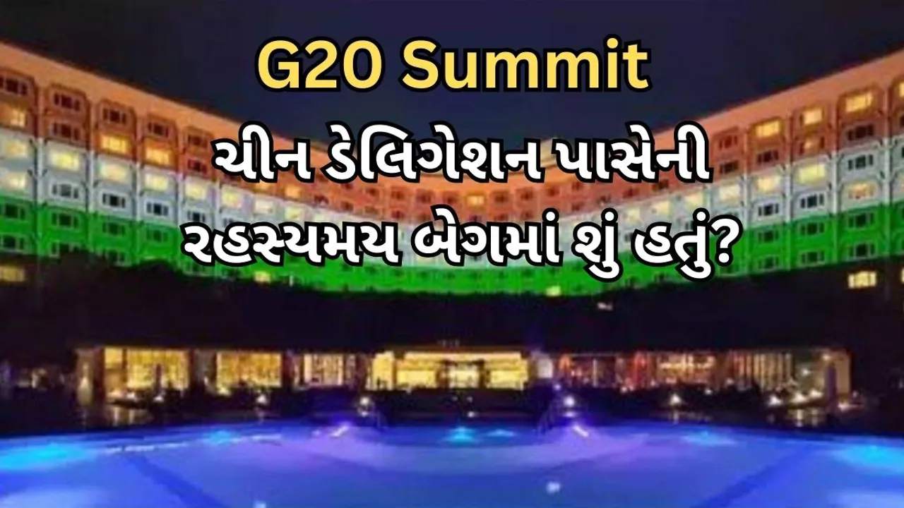 G20 Summit | Chinese Mysterious Bags