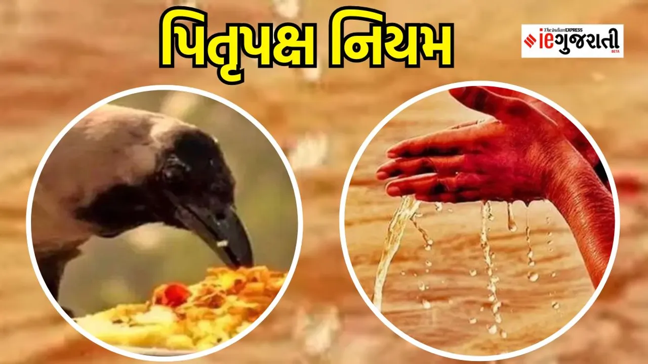 pitru paksha 2023| pitru paksha shopping rules | Astrology News | Dharmabhakti