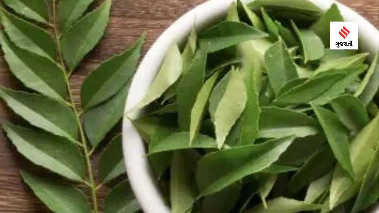 curry leaves for hair growth,curry leaves for hair,curry leaves for skin,curry leaves for stomach problems,curry leaves weight loss,curry leaves powder,curry leaves water