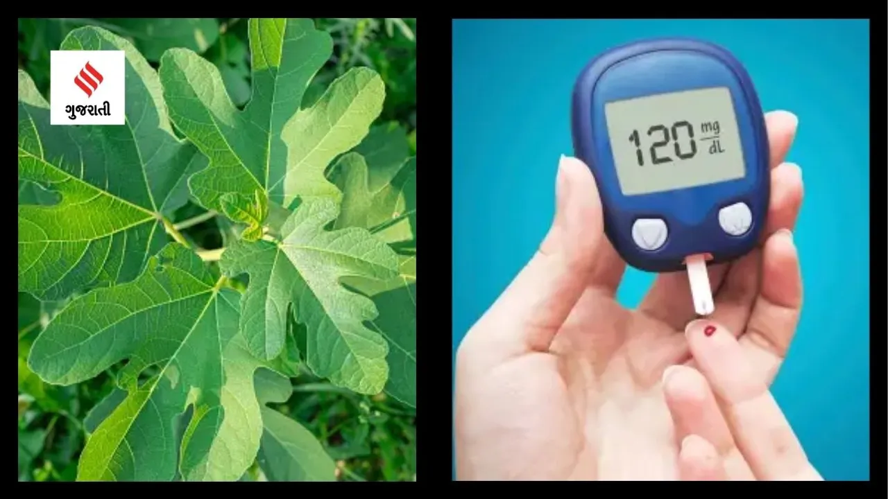 Health Tips Diabetes tips (Unsplash)