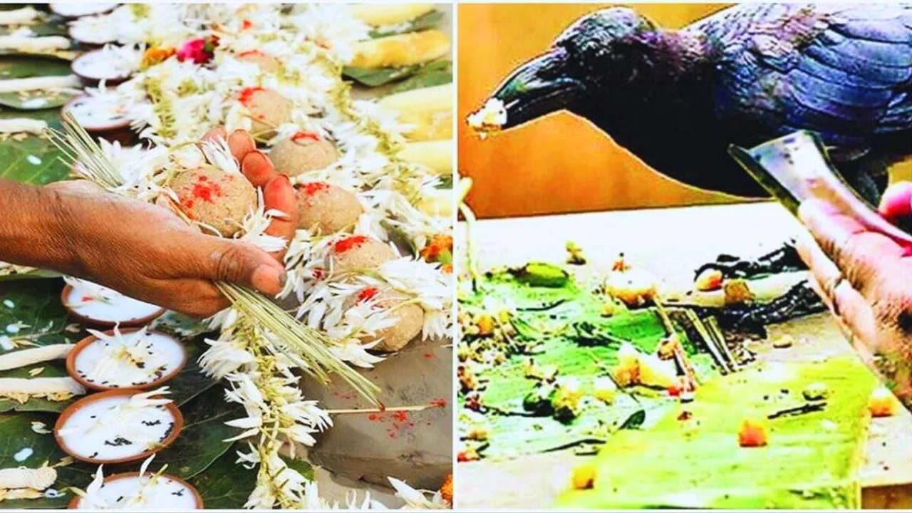 Pitru Paksha 2023 | Panchabali Bhog | shraddh paksha | Dharmabhakti