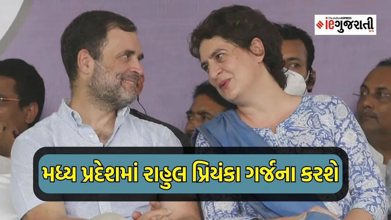 madhya pradesh news | MP election | election 2023 | google news