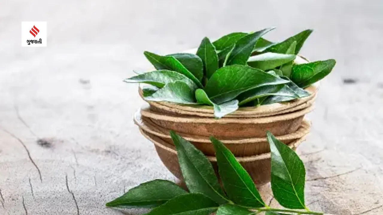what to eat in the morning first routine winter diet curry leaves benefits health tips gujarati news