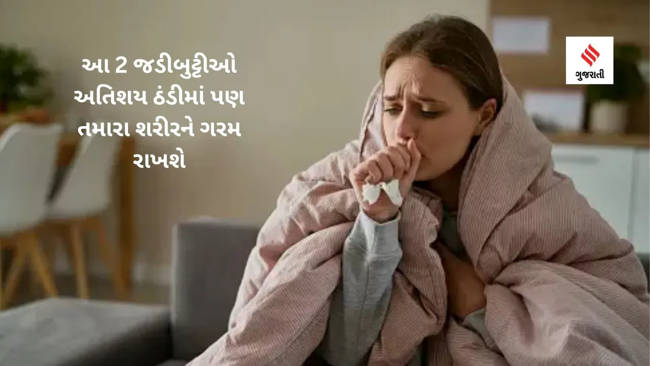 winter drinks hot,Winter drinks to stay warm,How To Warm Body With Drink,kadha benefits,kadha for Winter,drinks to prevent cold