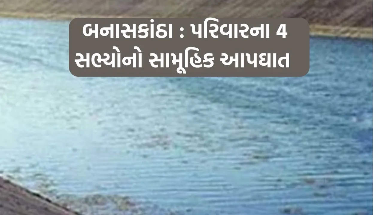 suicide in Banaskantha | suicide | Banaskantha