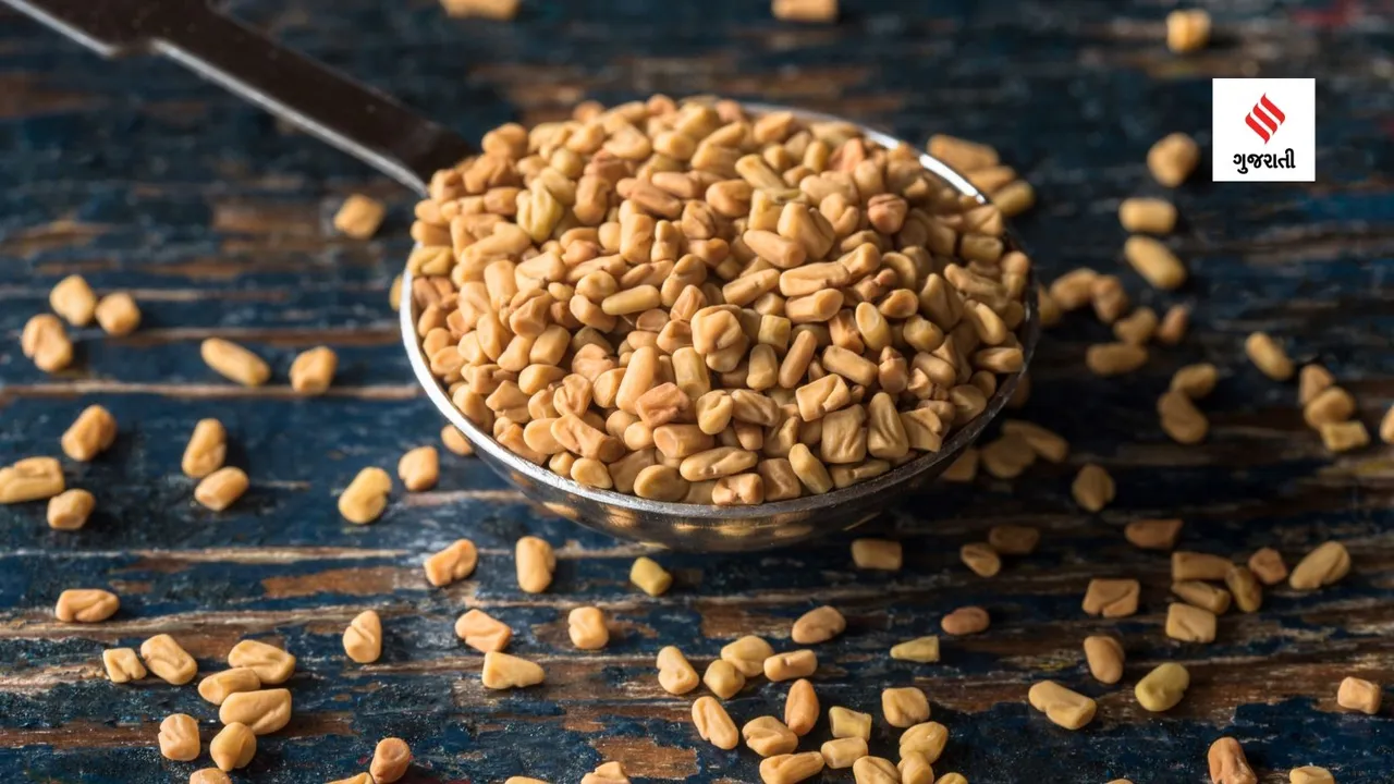 Fenugreek Benefits winter diet women periods pain remedies health tips gujarati news