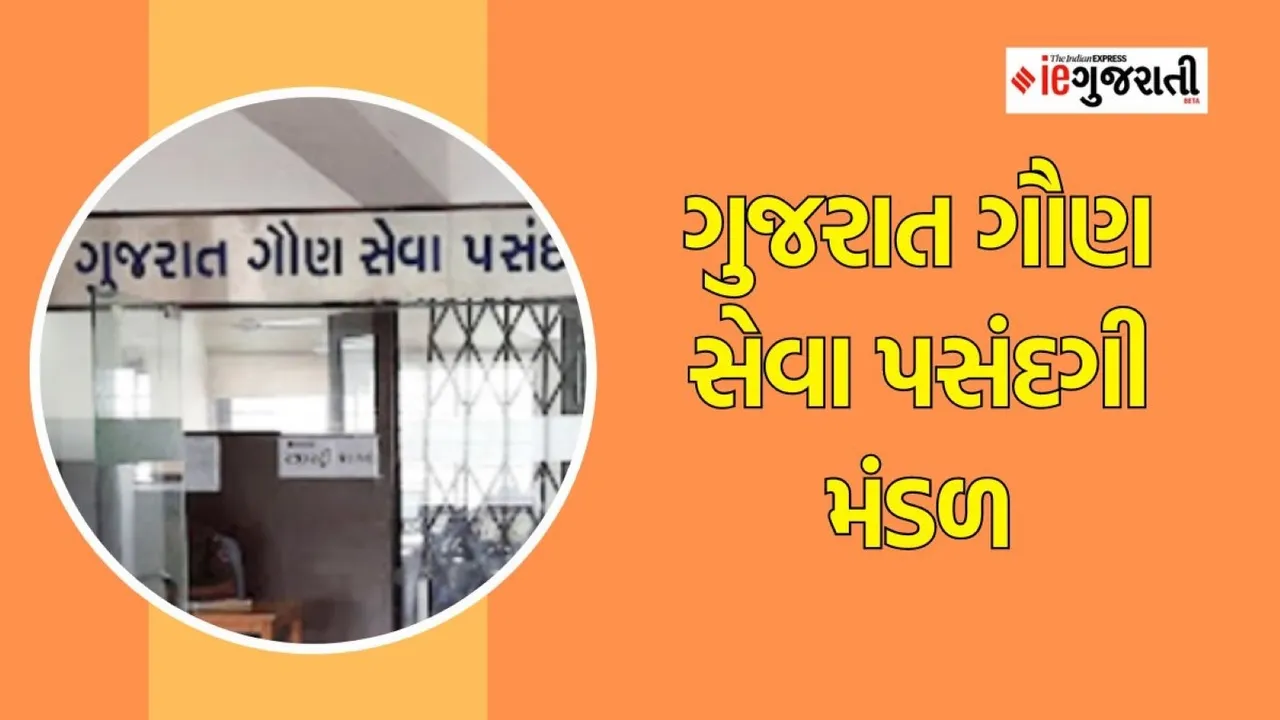 GSSSB recruitment 2023 | Government jobs | Sarkari nokri