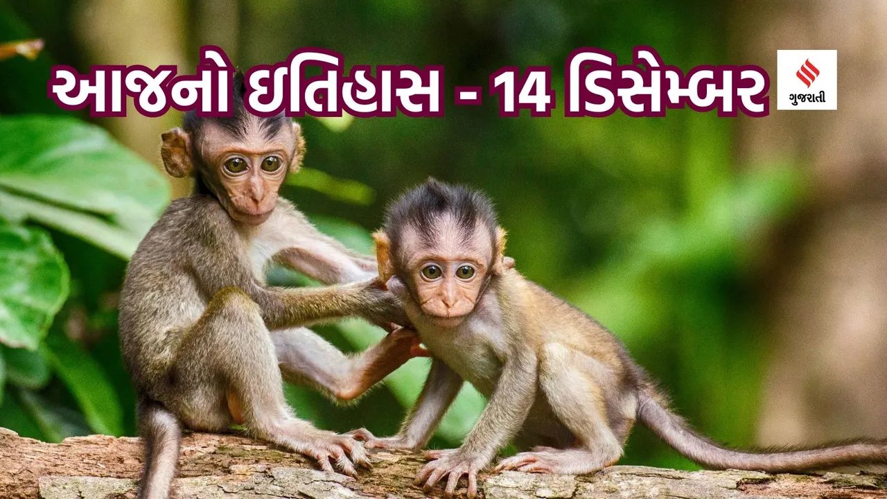 Today History | 14 December History | Monkey Day | Monkey