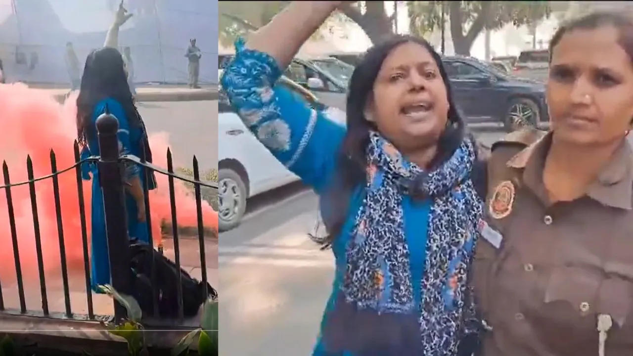 Neelam | Neelam Protest Outside Parliament | Parliament Attack | Parliament Security Lapse