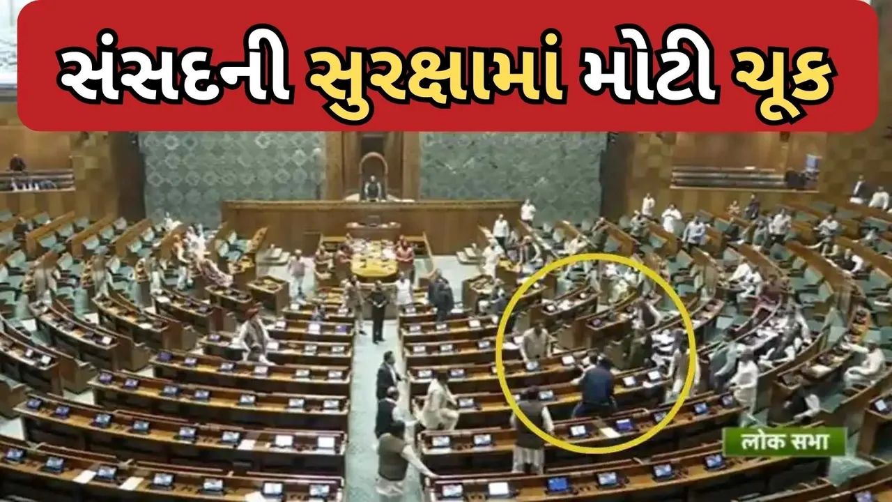 Parliament security lapse