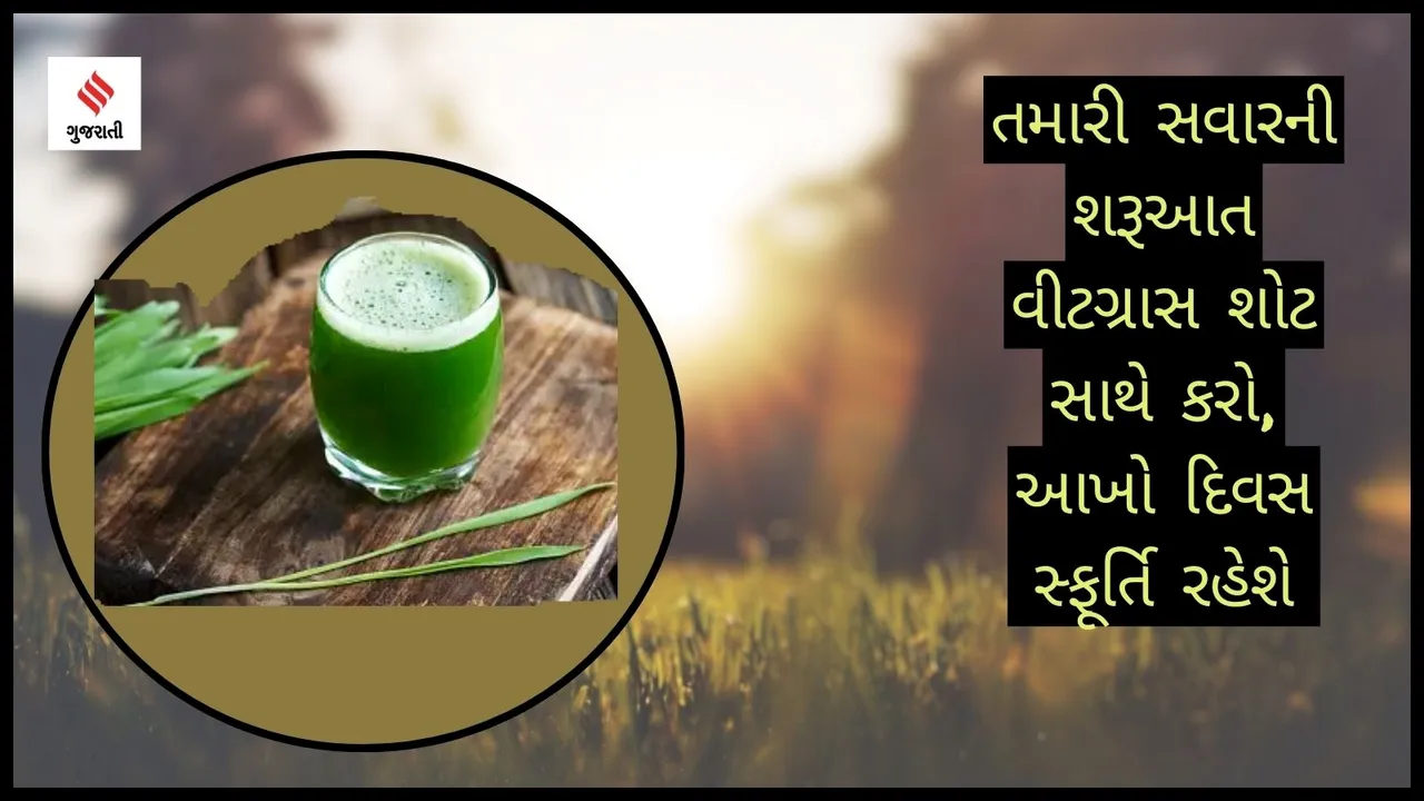 Health Benefits Of Wheatgrass Shots in morning health tips gujarati news
