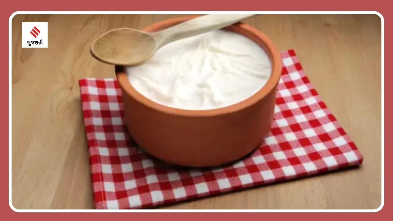 winter diet what happens to your body when you eat curd in winter everyday health tips gujarati news