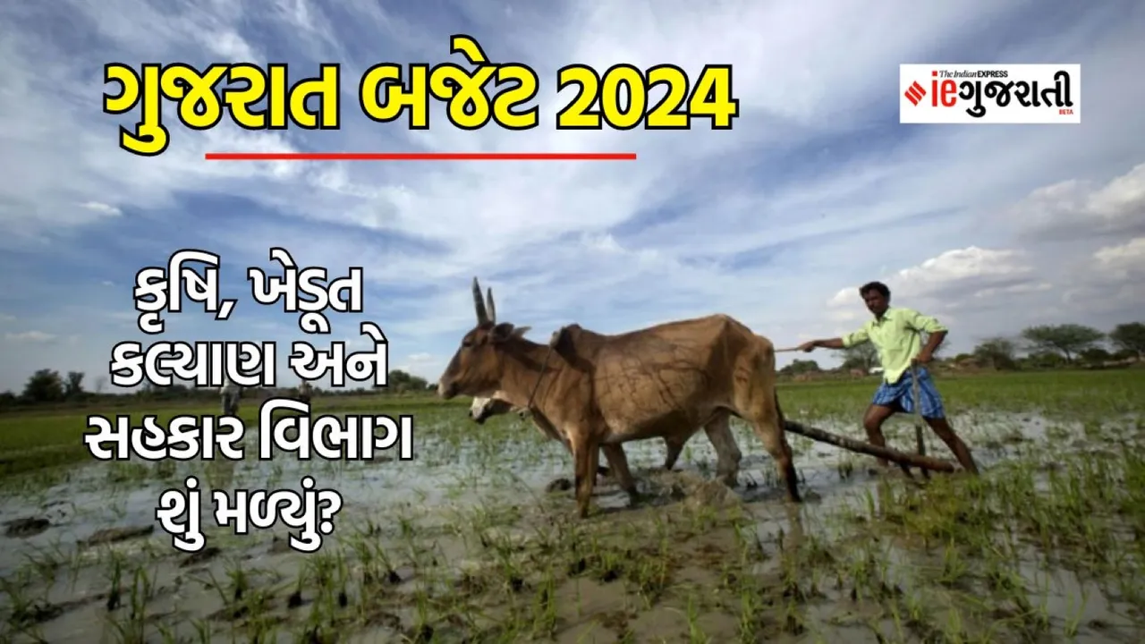 Gujarat Budget 2024, Gujarat Budget Live Updates, Budget 2024, ગુજરાત બજેટ 2024