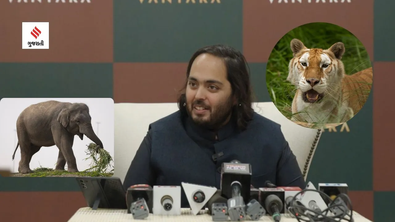 anant ambani | anant ambani vantara | Mukesh ambani son anant ambani | vantara jamnagar | vantara jamnagar photo | vantara animals resue | vantara elephant hospital | vantara animals treatment