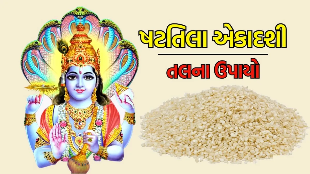 Shattila Ekadashi 2024, Shattila Ekadashi 2024 muhurat, Shattila Ekadashi 2024 tal nu daan, Shattila Ekadashi 2024 tal upay, ષટતિલા એકાદશી 2024