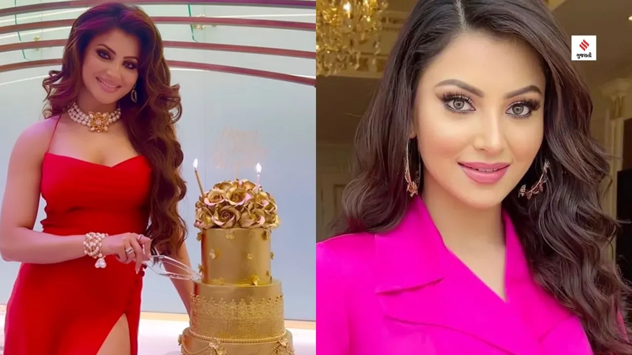 Urvashi Rautela birthday celebration yo yo honey singh gujarati news