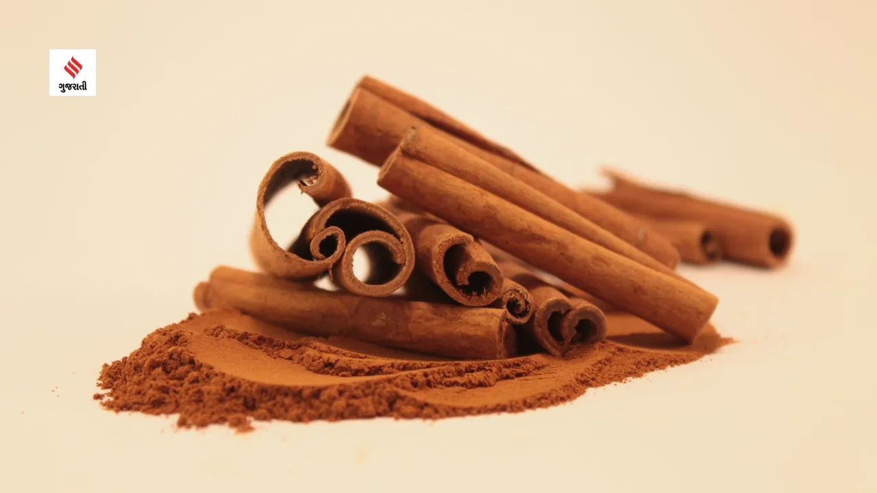 Cinnamon benefits for women health tips in gujarati