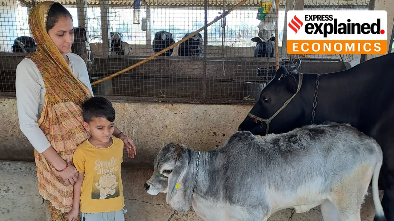 White Revolution 2-0