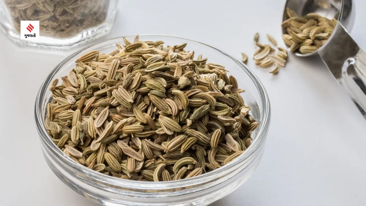 fennel seeds summer special fennel seeds uses benefits health tips in gujarati
