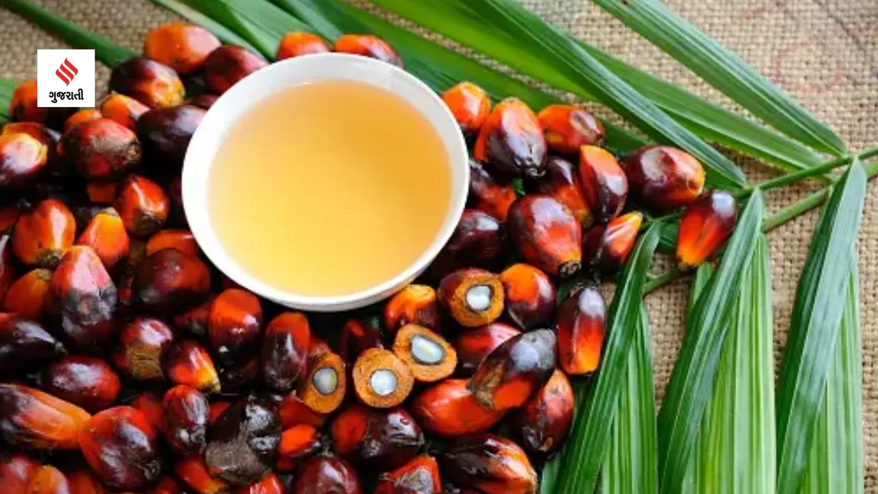 is palm oil harmful for health alternative healthy cooking oil option health tips in gujarati
