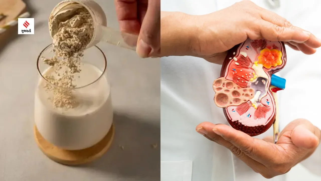 protein powder side effects damage kidney health tips in gujarati