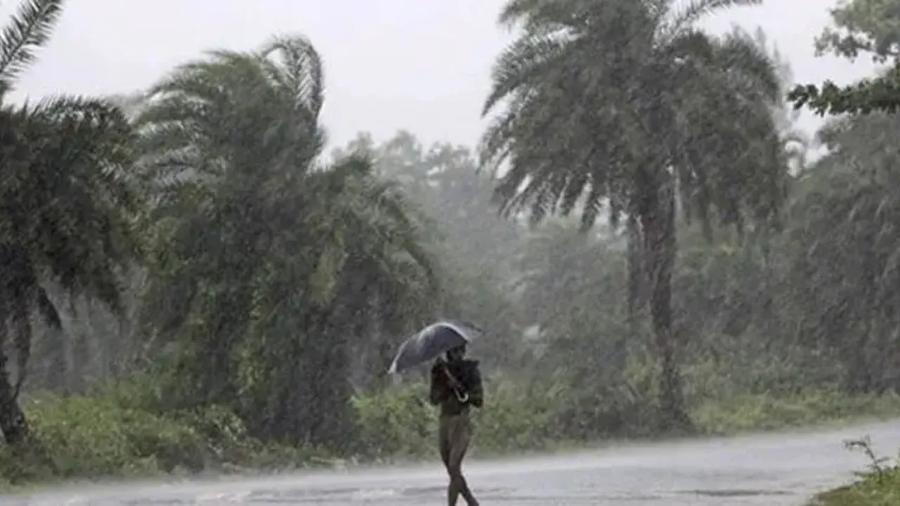 Gujarat Unseasonal rain forecast