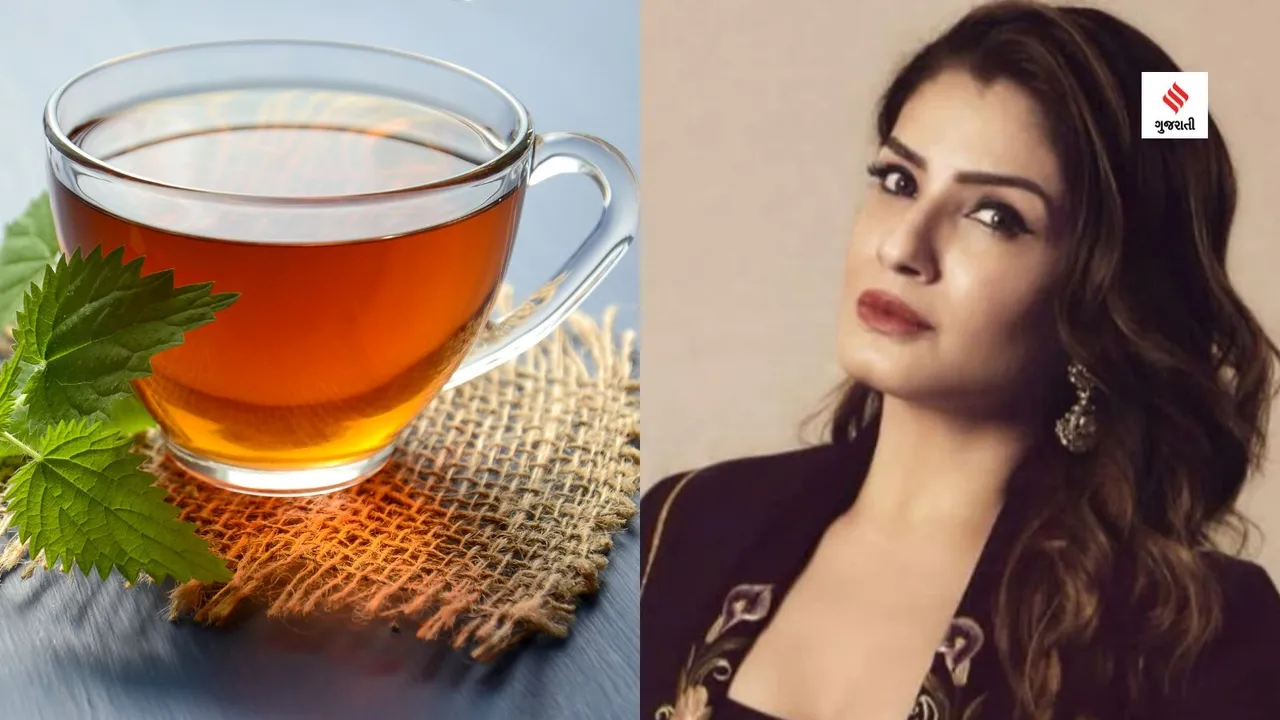 summer cold cough remedies Raveena Tandon kadha recipe summer health tips in gujarati