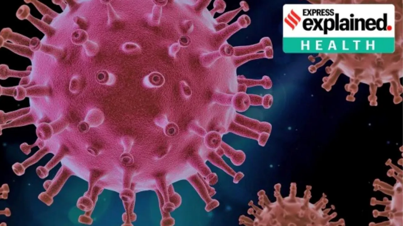 FLiRT variant of Covid