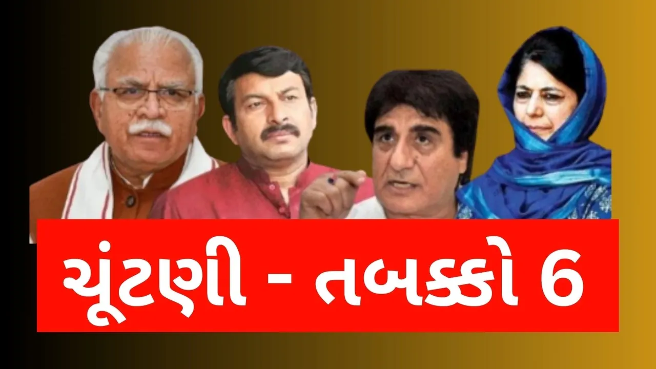Lok Sabha Election 2024 6th Phase Voting, લોકસભા ચૂંટણી 2024 છઠ્ઠા તબક્કાનું મતદાન