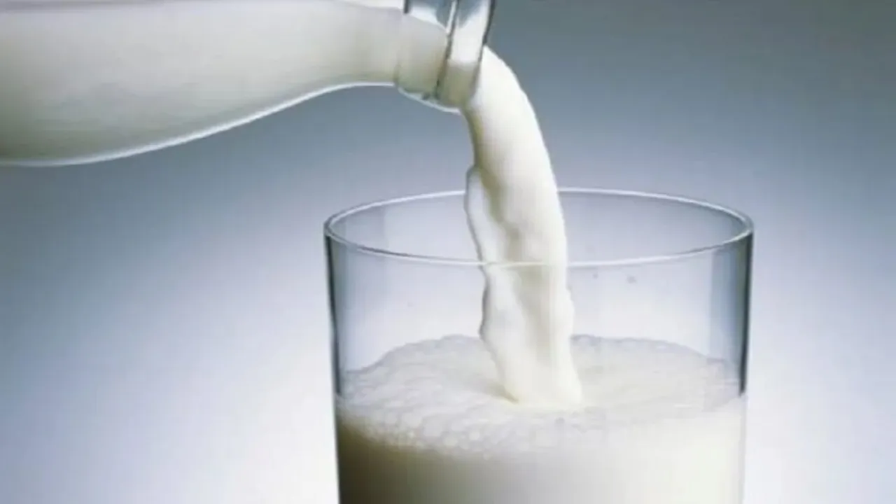 World Milk Day, World Milk Day 2024