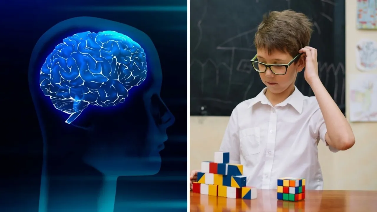 iq level test | How to iq determined | intelligent questions test