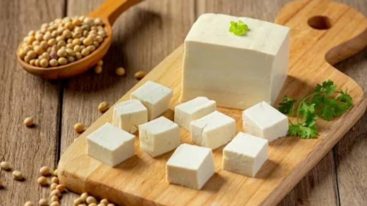 Paneer : પનીર બનાવવા માટે દહીં, લીંબુ કે વિનેગર શું છે શ્રેષ્ઠ?