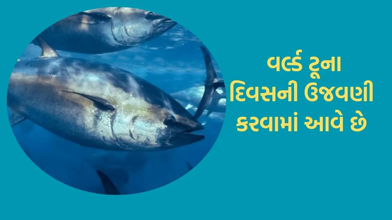 world tuna day, world tuna day 2024