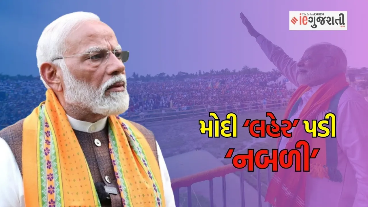 lok Sabha Election results 2024, lok sabha election results analysis, bjp performance analysis