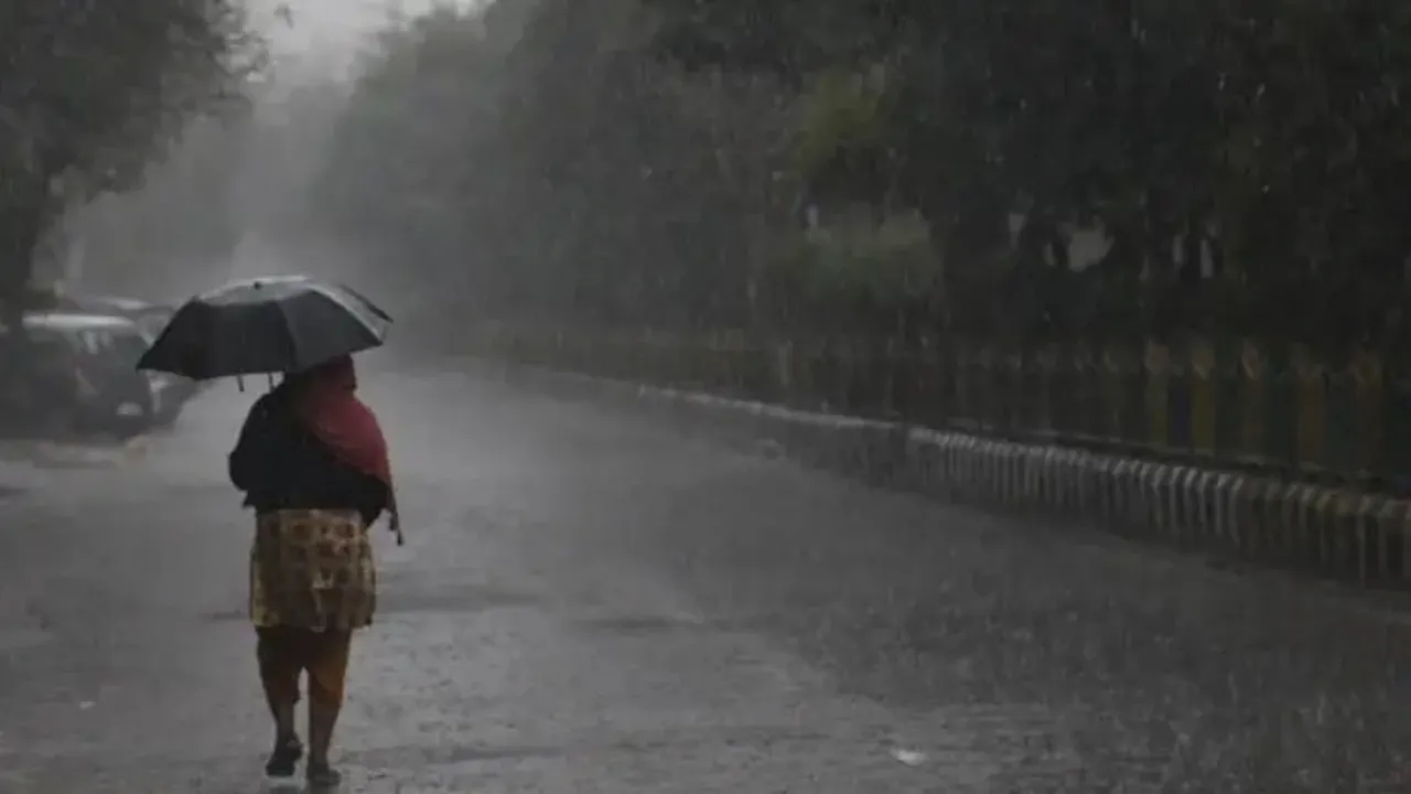 Gujarat Rainfall, Gujarat Rain, Gujarat, Rain, ગુજરાત વરસાદ