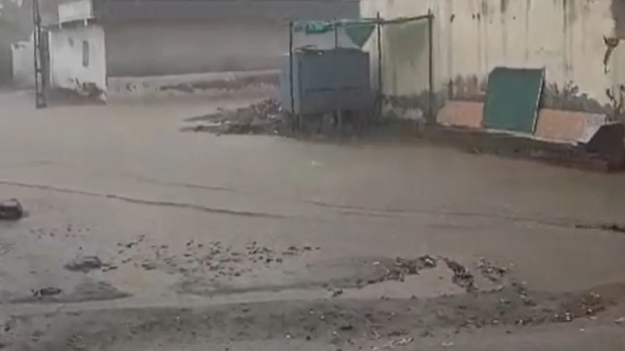 Gujarat rainfall, Gujarat rain, Gujarat, rain