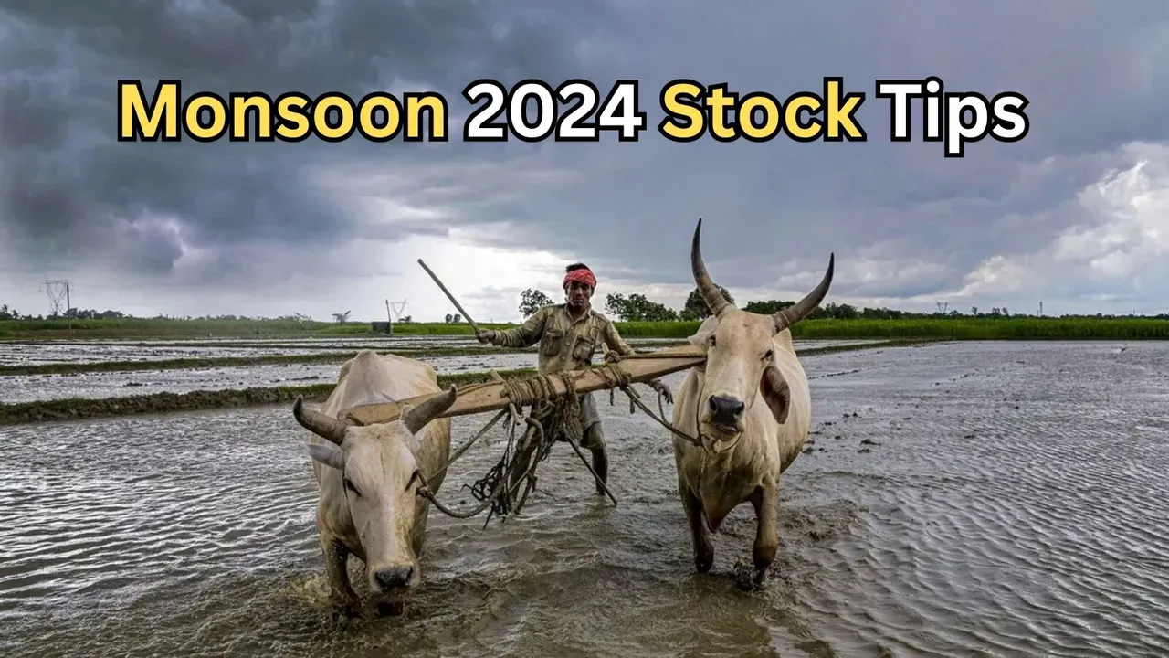 Monsoon 2024 Stock Tips