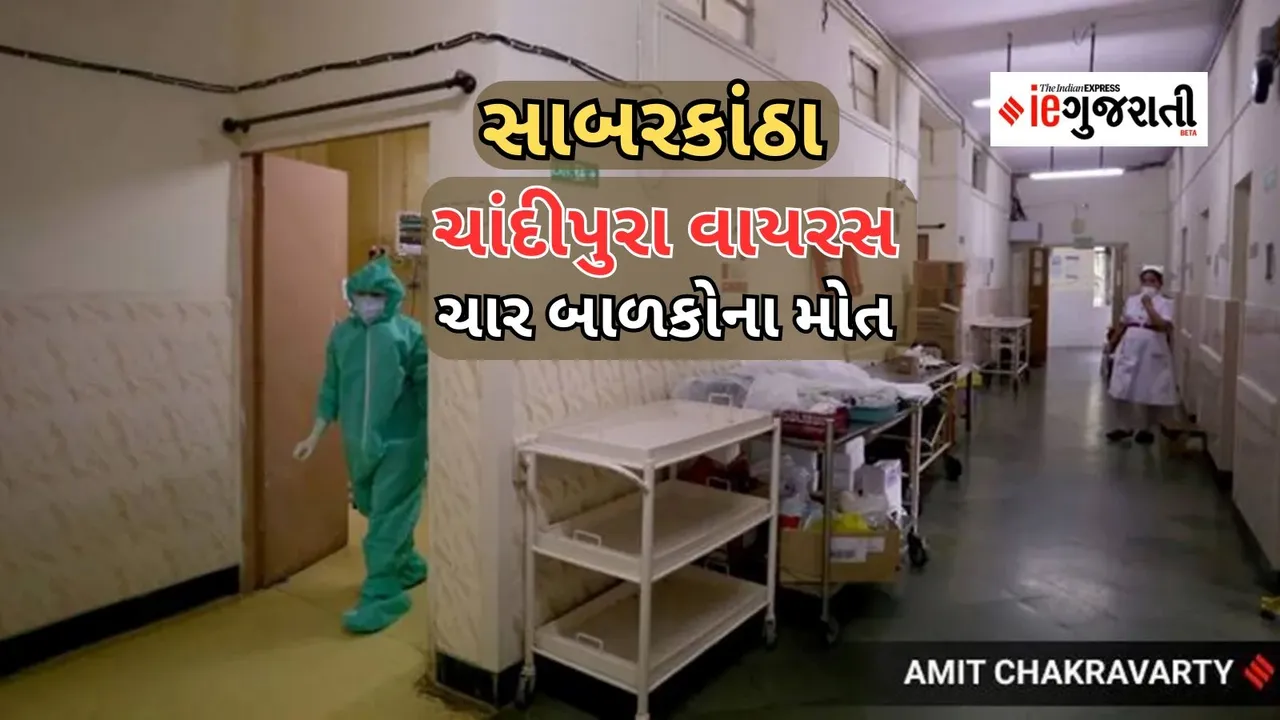 Chandipura Virus: ચાંદીપુરા વાયરસ કોરોના કરતા ખતરનાક, ગુજરાતમાં 14 બાળકના મોતથી હાહાકાર, જાણો ક્યા કેટલા કેસ નોંધાયા