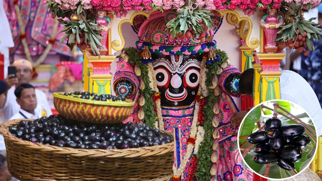 Jambu health benefits, Blue berry benifits for health,