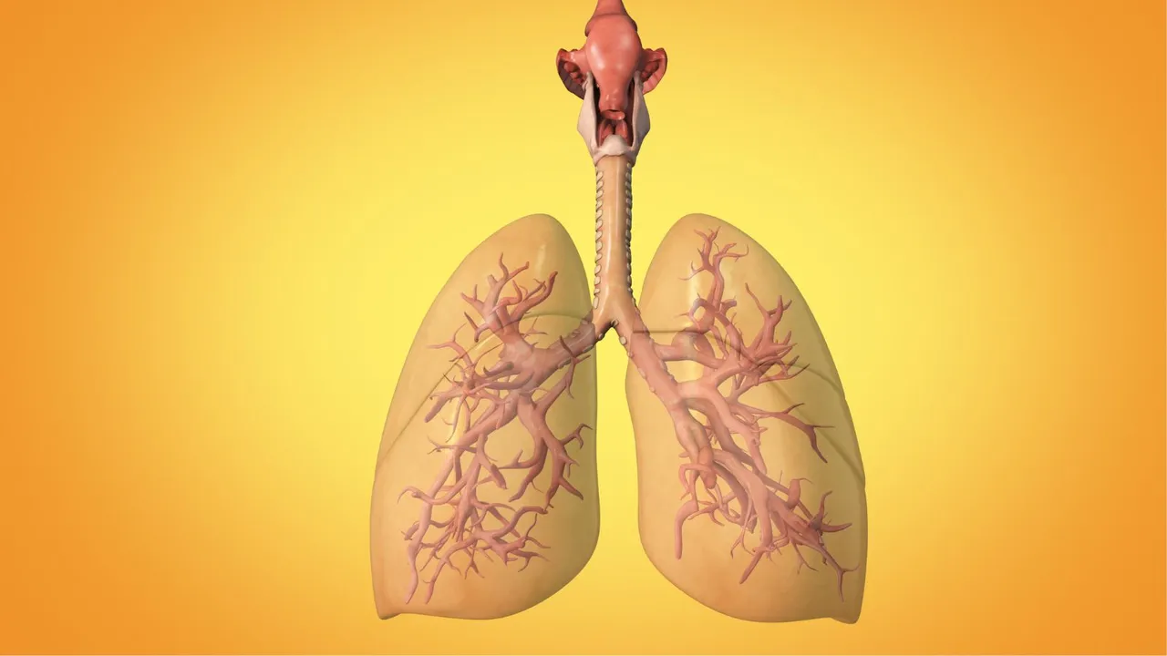 Lung Cancer cases In India